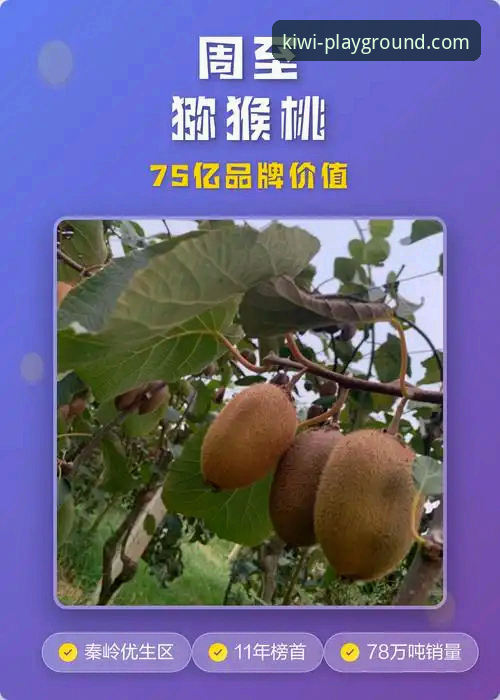 官方入口与第三方渠道：探秘“奇异果娱乐官网首页”的核心价值