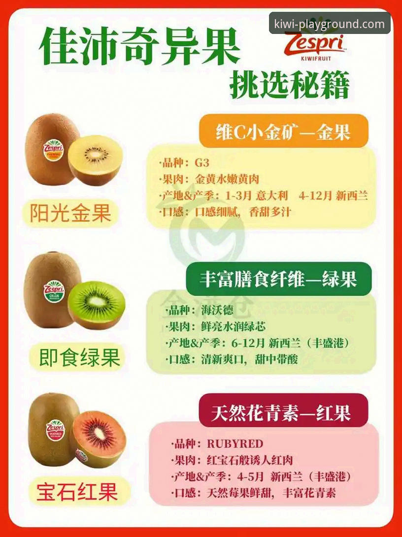 奇异果娱乐平台流畅稳定体验完整指南：从下载到畅玩的官方教程